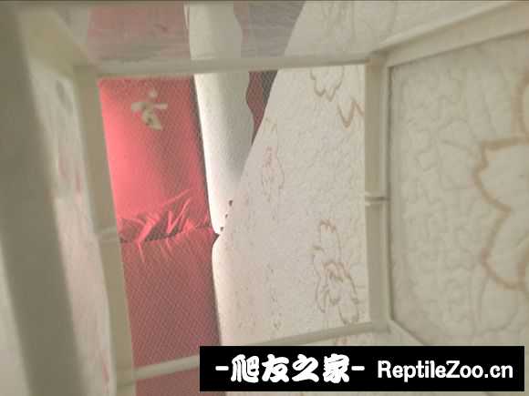 134026qck8ulbl3ggbu4gl.jpg