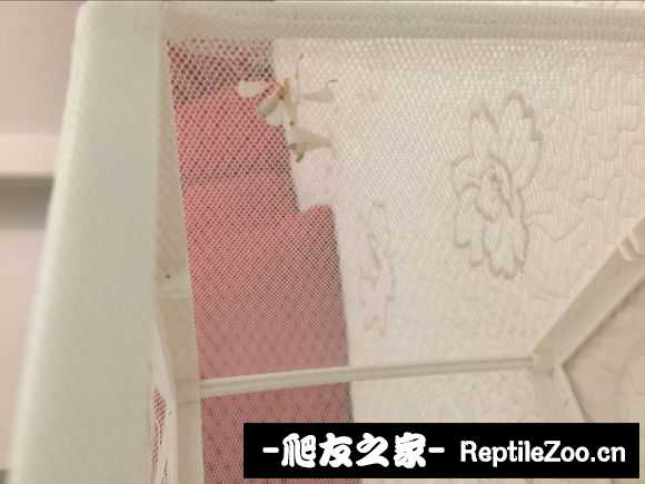 134027jyh6gd33iugz3kyv.jpg