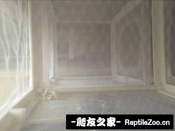 134029dfz9498jjfyf7974.jpg