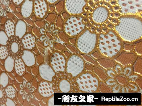 134030roama7qq2p71wwpl.jpg