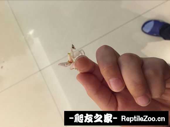 134031akzig7wgszx8i7k8.jpg