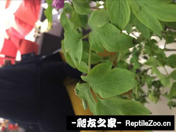 134032qt1xx7xxxt76ix99.jpg