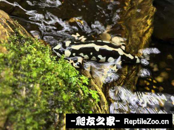 134058o6pzcoohtdiicg7h.jpg