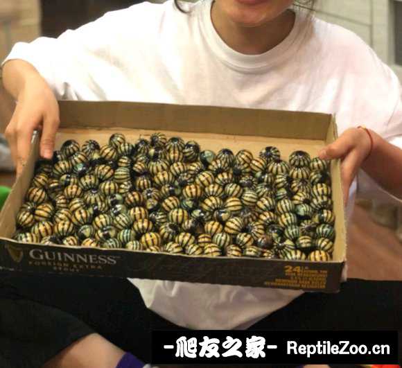 134123fxqxoxqafey64fys.jpg