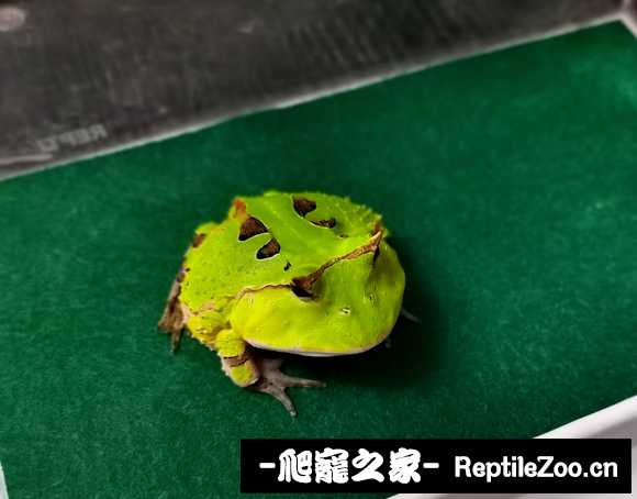 224625j3mawemkmf5s1zws.jpg