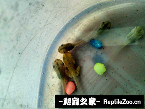022322icf3erxcxgkjckxc.jpg