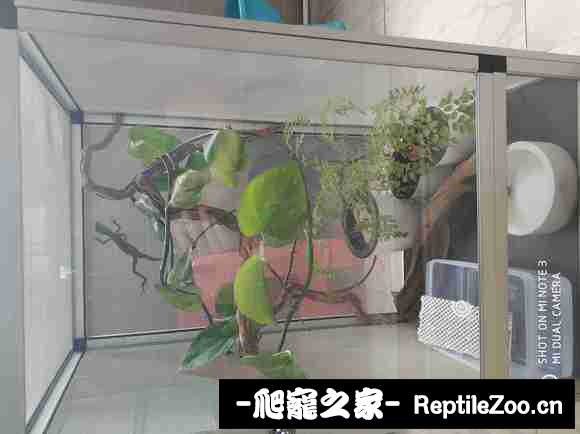 022611x467qef00x18ze71.jpg