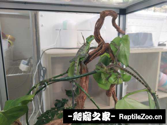 022623n3blolfo8ye3j77r.jpg