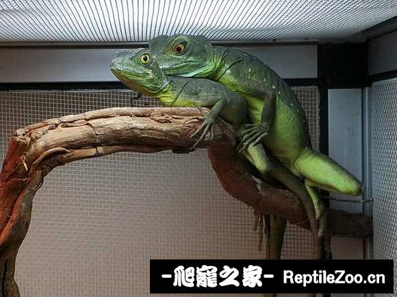 022625ys5tvg5t6i5mmdmm.jpg