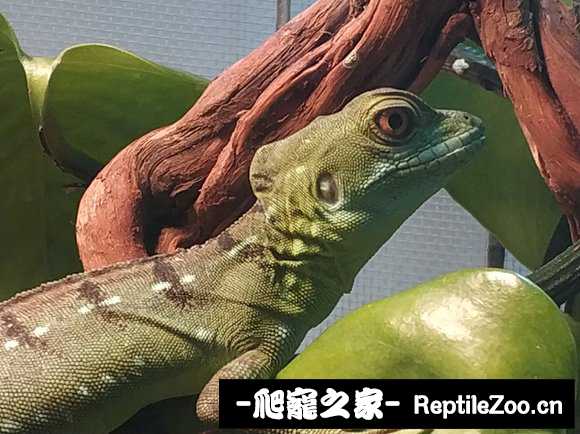 022628rmgrd292hr9mgc2c.jpg