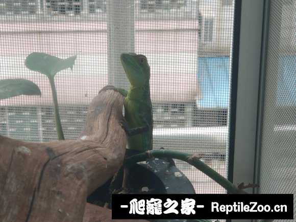 022638quxpmkxuucqmumm7.jpg