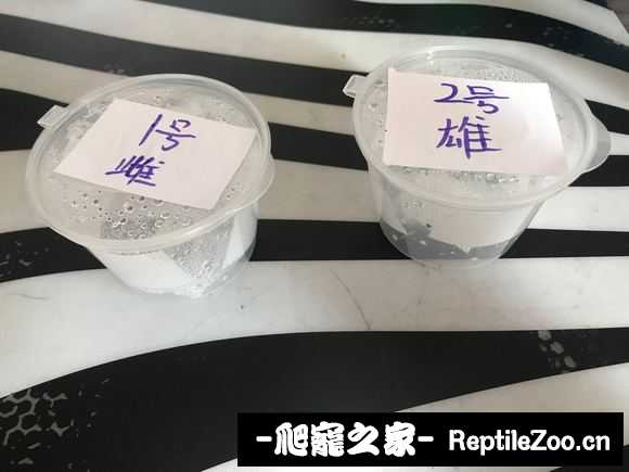 180009t7ry22kyhwi73q6c.jpg
