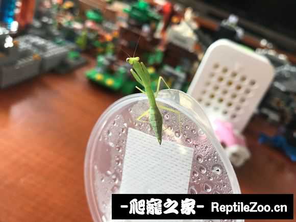 180010f9xtaacc98k5c12a.jpg