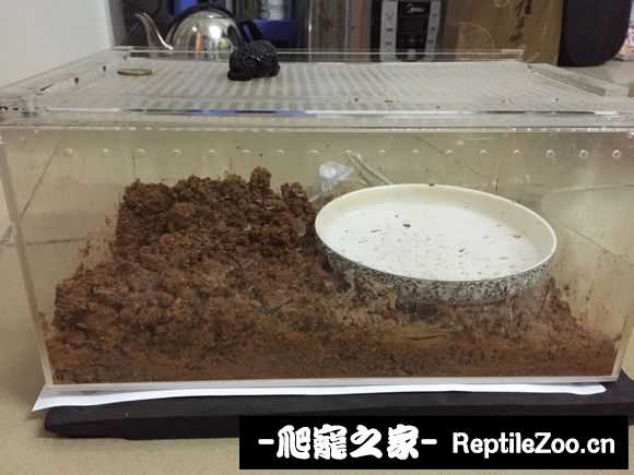 display_picture.php?url=http%3A%2F%2Fimgsa.baidu.com%2Fforum%2Fw%253D580%2Fsign%3Df55eb5014ced2e73fce98624b700a16d%2F74ccebc4b74543a94102a04918178a82b801146b.jpg