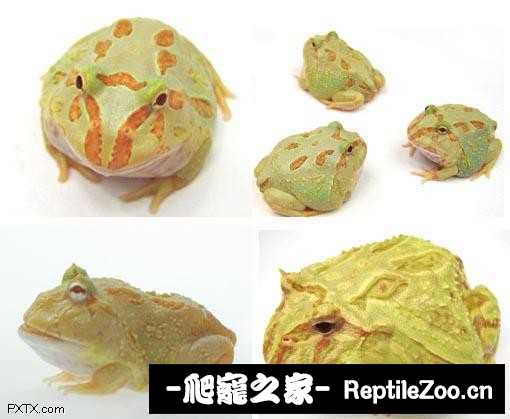 display_picture.php?url=http%3A%2F%2Fimgsa.baidu.com%2Fforum%2Fw%253D580%2Fsign%3D1711f8656c224f4a5799731b39f69044%2Fcd0462d9f2d3572cb435129f8b13632760d0c3f0.jpg