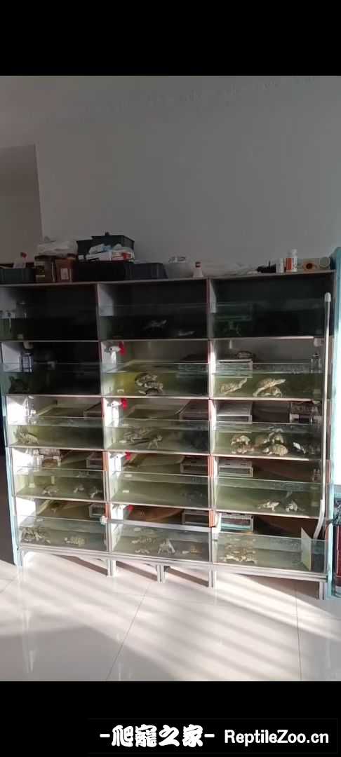 044035do3mbjuu59fjn55j.jpeg