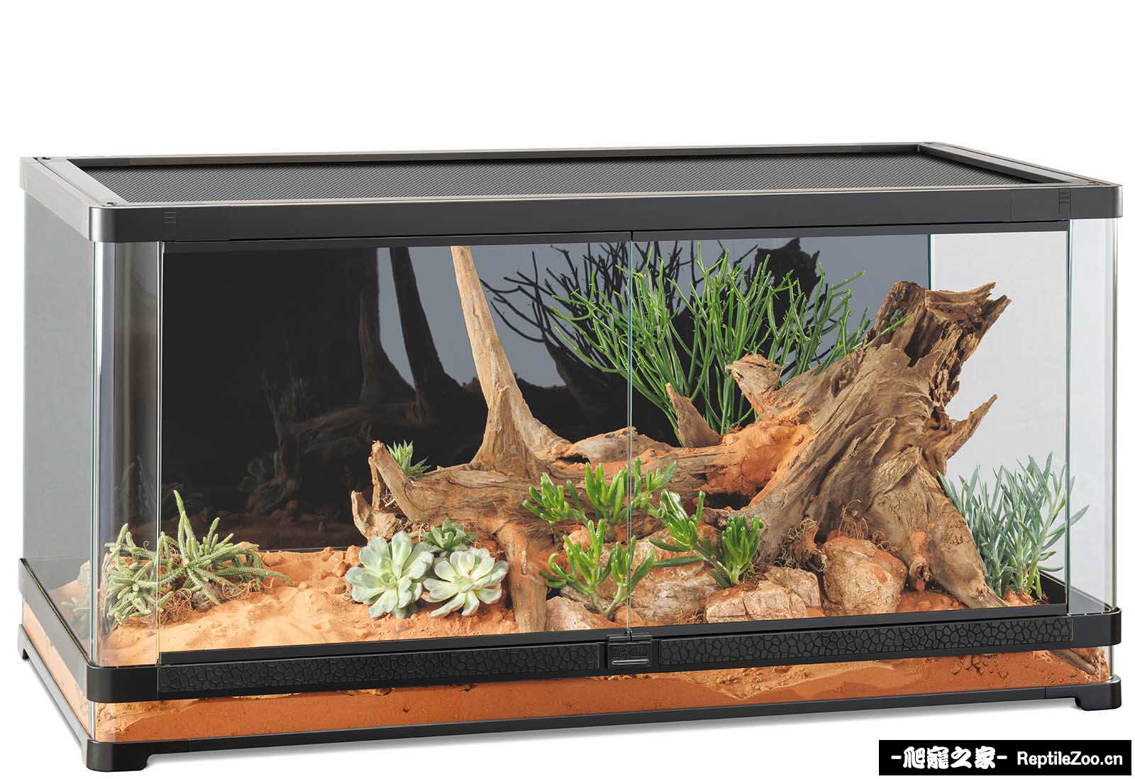 Category_vista_terrariums-1.jpg