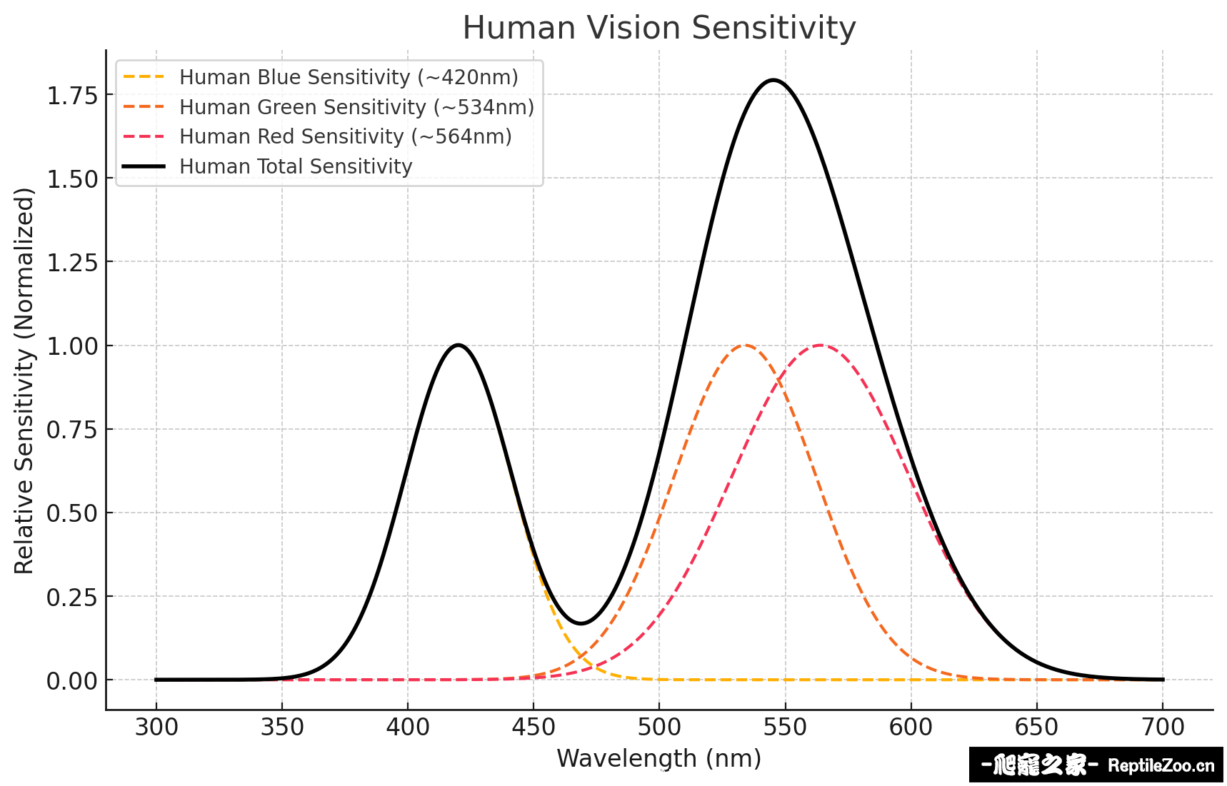 human_vision.png