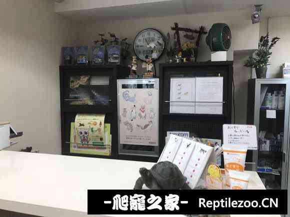 100352esqoi8rcjr11a166.jpg