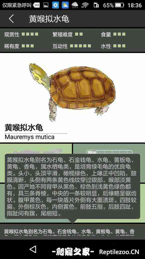 100407n9eqvldz9clctacw.jpg