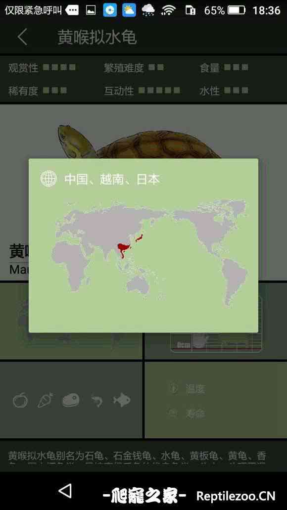 100408yeqitzzqiexsqjzq.jpg