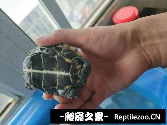 100509yzzcszm8a89t7eua.jpg