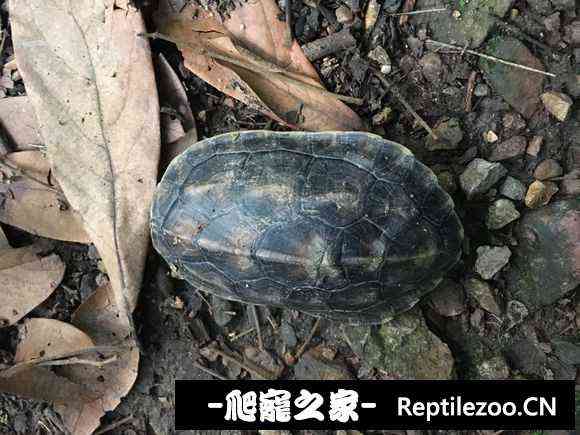 100950qizeumqhhjmm4hzd.jpg