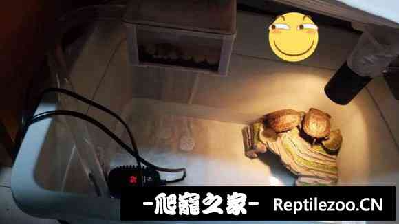 101031mklzn0lk8e2l28p9.jpg