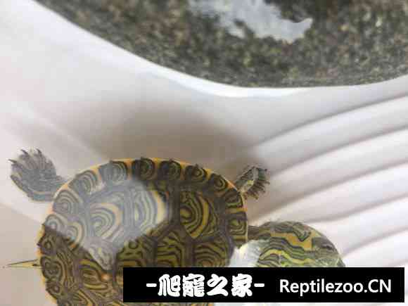 101121lx070j8c7sbylc0q.jpg