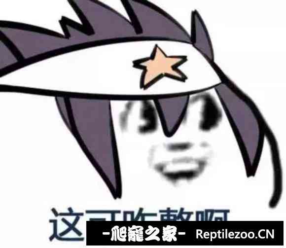 101156r8lb0n0lzgf0bfre.jpg