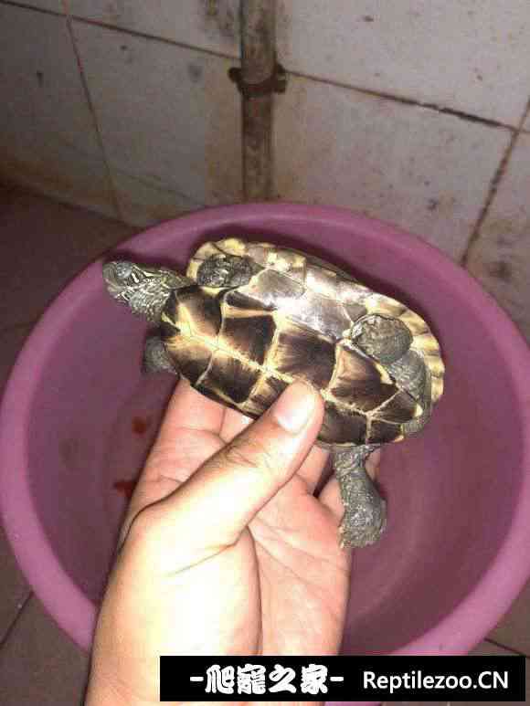 101202wp7xykmzyymkky0w.jpg