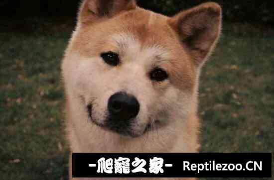 101209h4cklcqmbdkckqkl.jpg