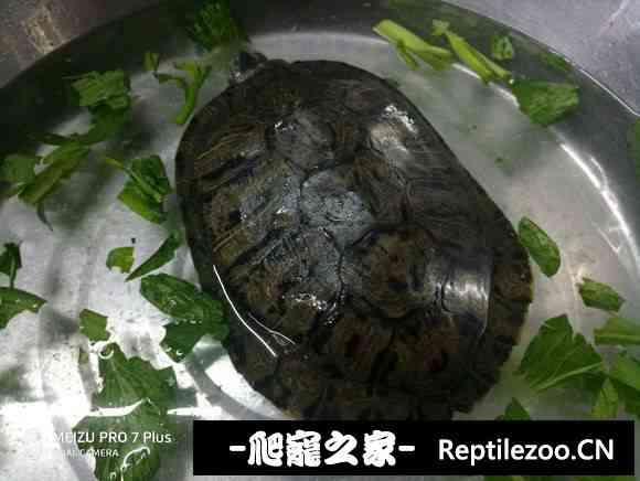 101239ag7wf9u66f5uwtfr.jpg
