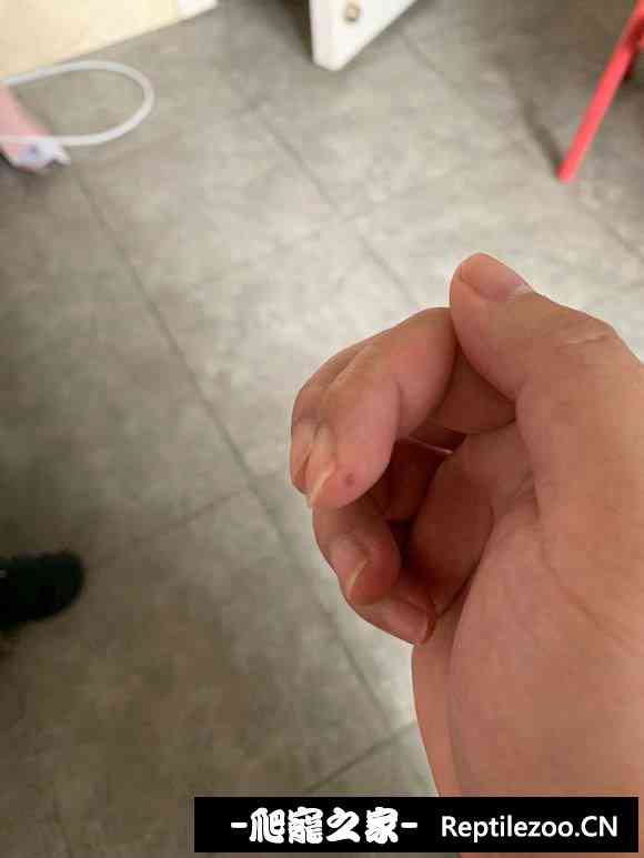 101419pjj3oo6v0j4bpbnj.jpg