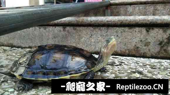 101534nll3wjwjnt3tjtz9.jpg