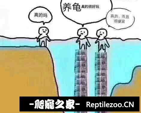 101555l1n9jh94jj343bjy.jpg