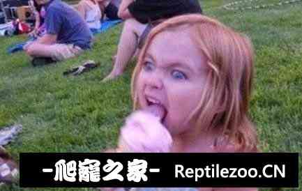 101737qt7vzh6kt3rjz762.jpg