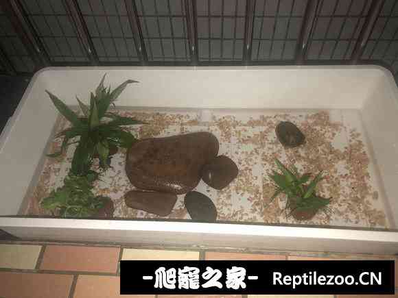 101803sgj0kmgob0l9jf0r.jpg