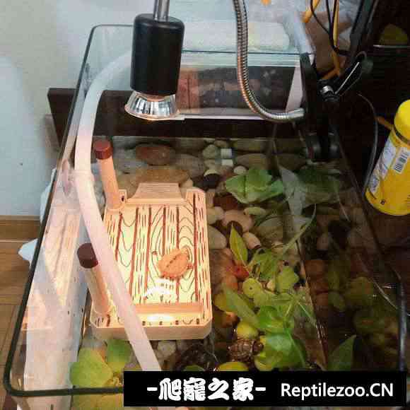 101905puupiz4xrbwhhjxb.jpg