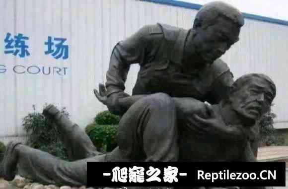 101918xxtyolmxt4tg7xkt.jpg
