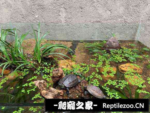 102430r86vqn6xinvg8anq.jpg