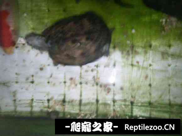 102522aiinnjdtwtmffm8t.jpg