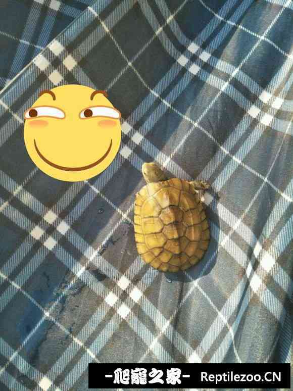 102527imm9bz7ebm8zqgz8.jpg