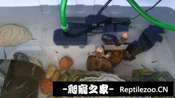 102651c5qq47gcthdqqgzm.jpg