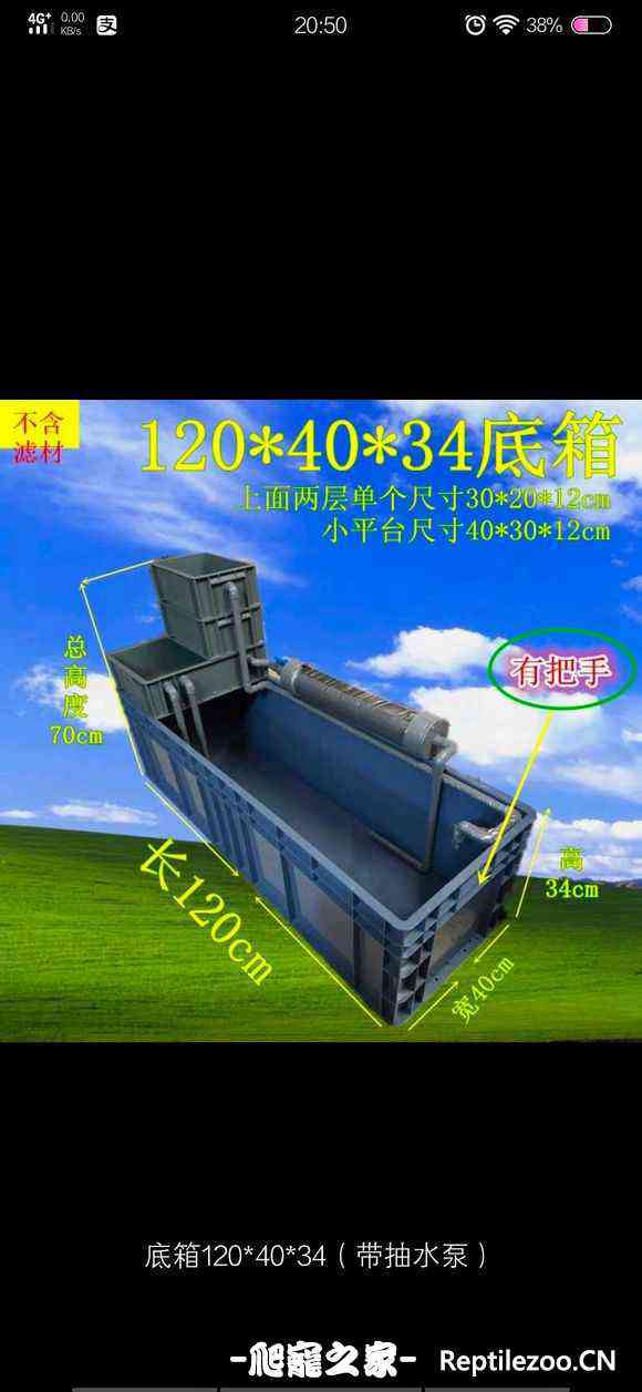 102709elaxx0kot390qln9.jpg