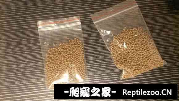 102806c787hkkot81ov6h8.jpg