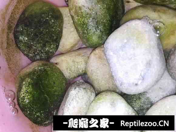 103004wu2lxll374rq2qlx.jpg