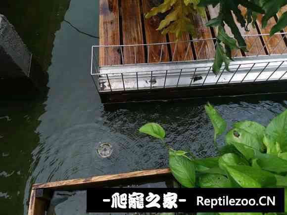 103724uwjqc4jcoszg4qww.jpg