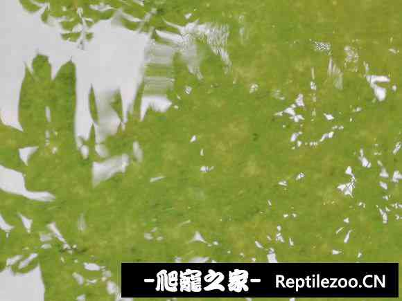 103725p5juozwk1oy833kj.jpg
