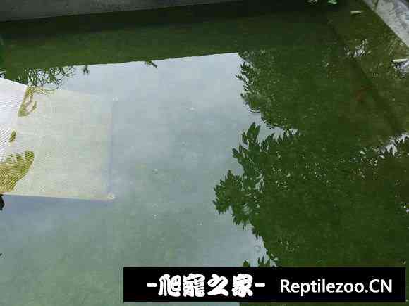 103726ioefec7oclctfjqa.jpg